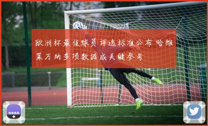 欧洲杯最佳球员评选标准公布 哈维莱万纳多项数据成关键参考