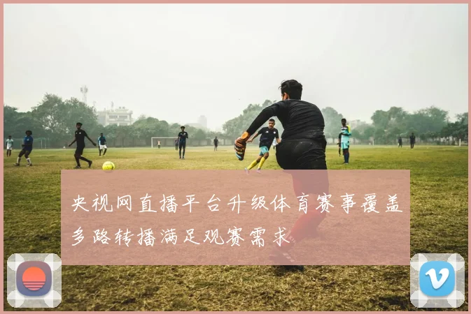 央视网直播平台升级体育赛事覆盖多路转播满足观赛需求