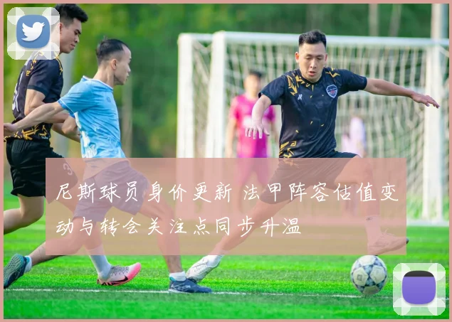 尼斯球员身价更新 法甲阵容估值变动与转会关注点同步升温