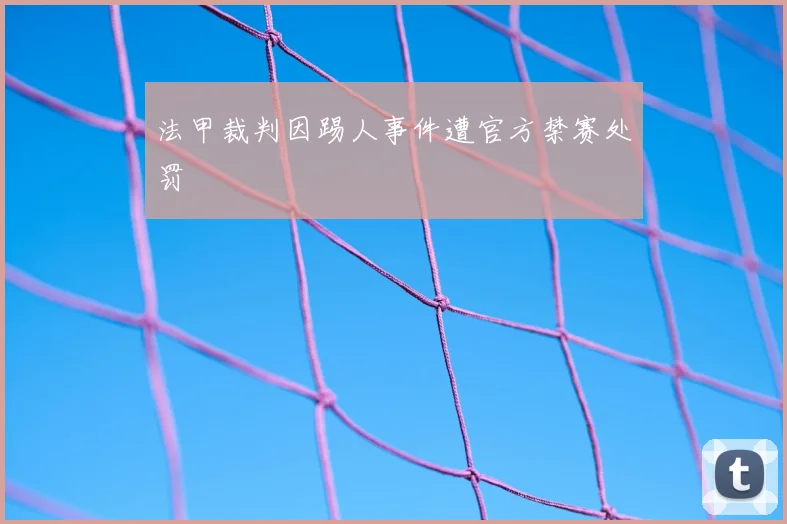 法甲裁判因踢人事件遭官方禁赛处罚