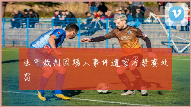 法甲裁判因踢人事件遭官方禁赛处罚