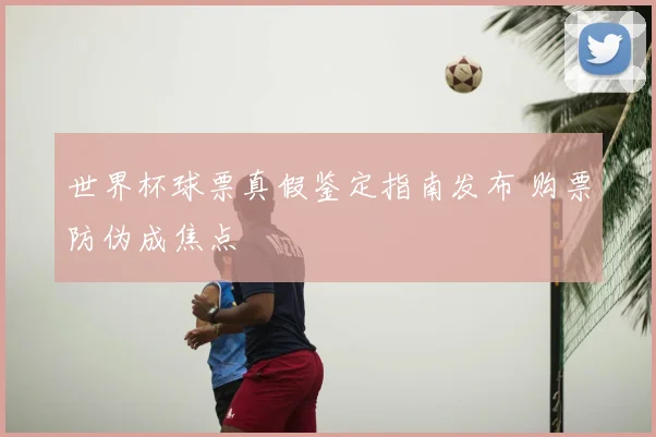 世界杯球票真假鉴定指南发布 购票防伪成焦点