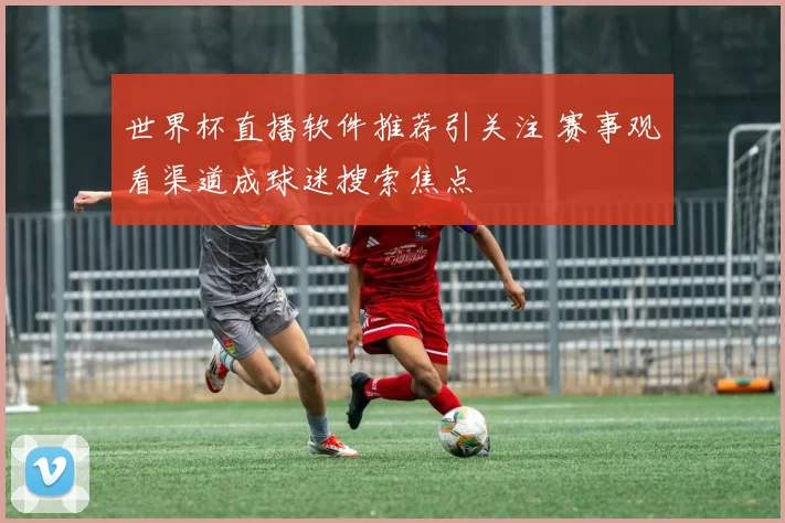 世界杯直播软件推荐引关注 赛事观看渠道成球迷搜索焦点