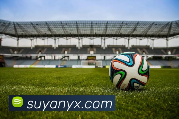 多媒体互动体验